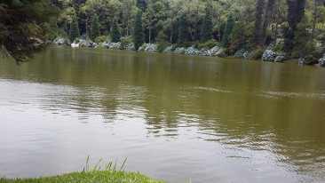 Lago Negro, Gramado ( Foto de Ionira)