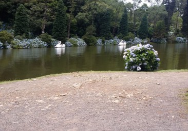 Lago Negro, Gramado ( Foto de Ionira)