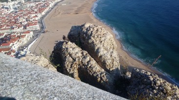 Uma gaivota. Foto de Ionira