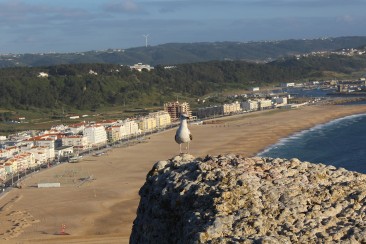 A Gaivota. Foto de Luiz