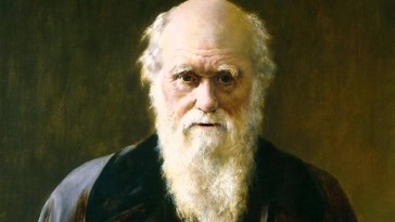 Darwin