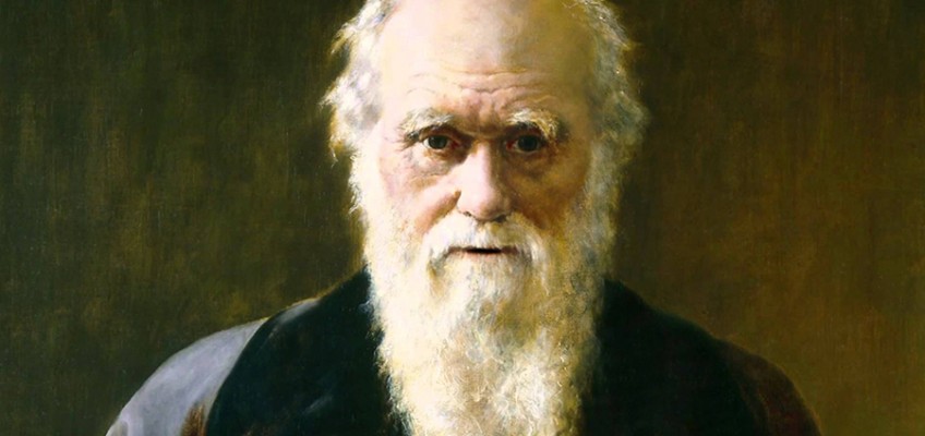 Darwin